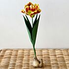 Artisan Porcelain Flower Tulip Bulb Yellow & Red