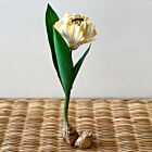Artisan Porcelain Flower Tulip Bulb Yellow & White