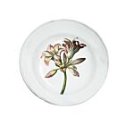 John Derian Floral Soup Plate Bella Donna Lily