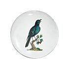 John Derian Bird Plate Blue Sparrow
