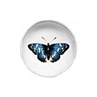 John Derian Butterfly Dish Blue