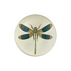  John Derian Decoupage Paperweight Dome Dragonfly