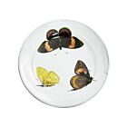 John Derian Butterfly Plate Three