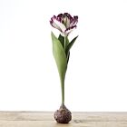 Porcelain Tulip Bulb 'Purple' 