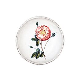 John Derian Rose with Insect ソーサー アスティエ Rose and Insect Mug