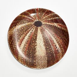 john-sea-urchin-dinner-plate-