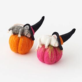 Halloween Assorted Pumpkin Mouse