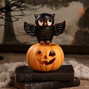 Halloween Owl on Jack O'Lantern