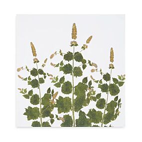 Summerill & Bishop Tisane Herb Mint Napkin