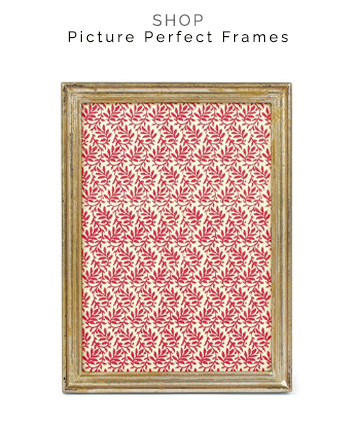 shop picture perfect frames