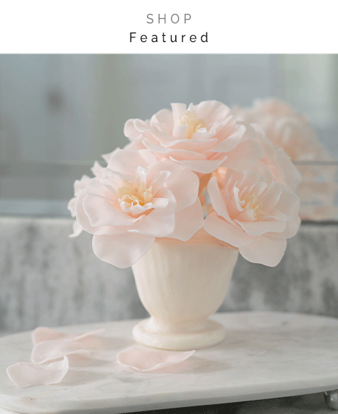shop featured