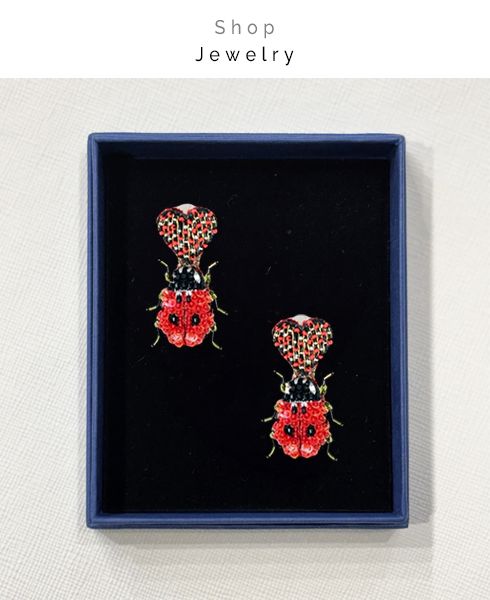 shop jewelry