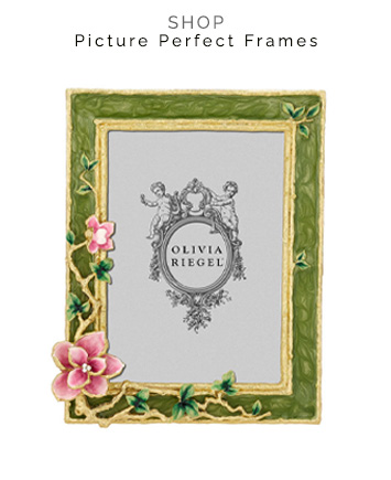 shop picture perfect frames